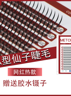 美睫匠a型仙子睫毛仙女款
