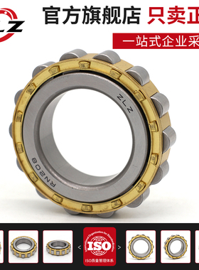 哈尔滨ZLZ圆柱滚子轴承 RN 203 204 205 206 307 309