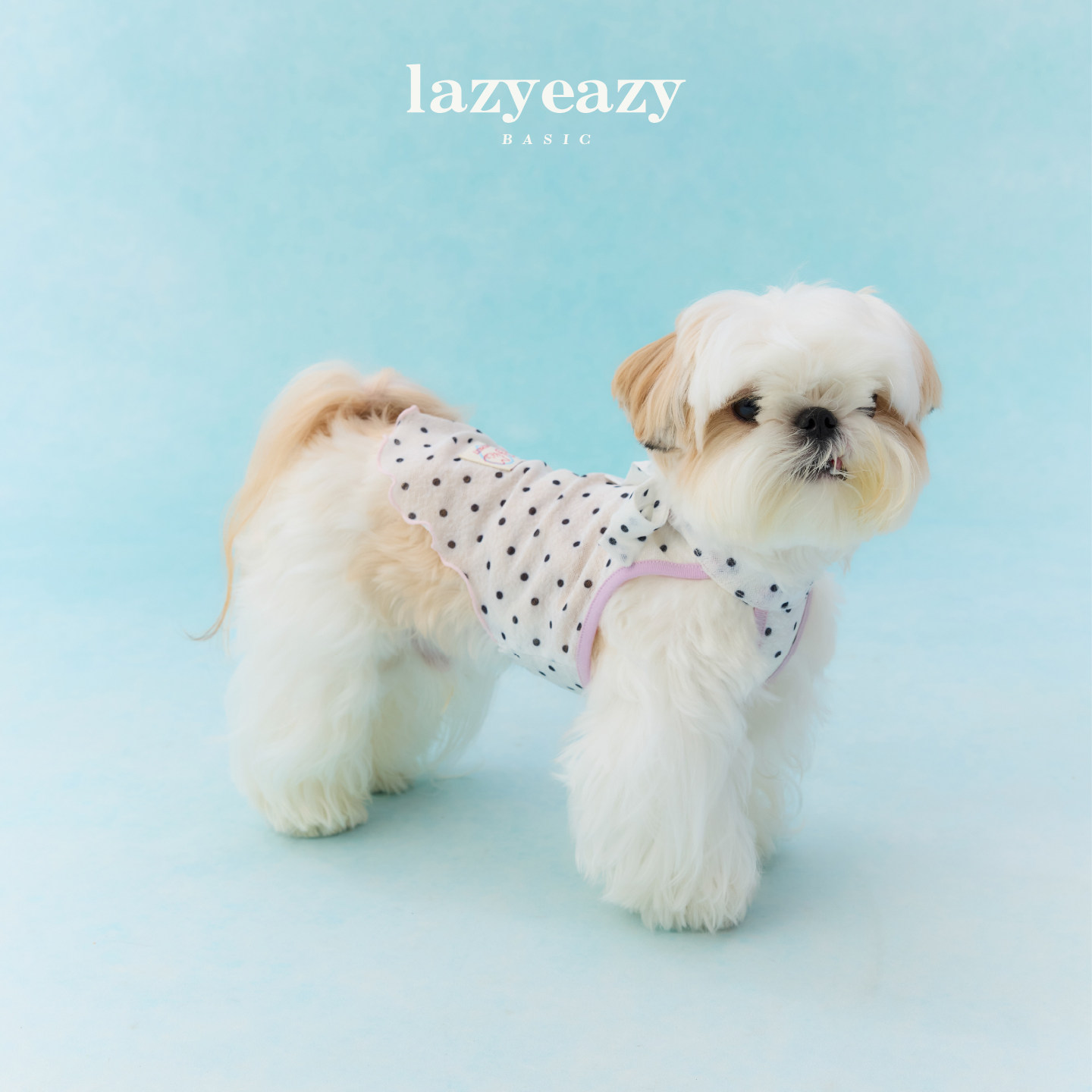 Lazyeazy宠物狗狗衣服波点系带背心凉感轻薄夏季新款中小型犬