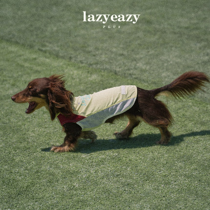 Lazyeazy宠物狗狗衣服拼色印花凉凉衣凉感轻薄夏新款中小型犬