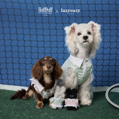 Friends Fluffy Club联名条纹网球服狗狗衣服春秋 Lazyeazy