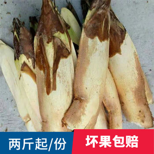 赣南新鲜棕包米棕苞花棕包花棕笋棕贝包棕芘棕榈树花粽心尾棕榈包