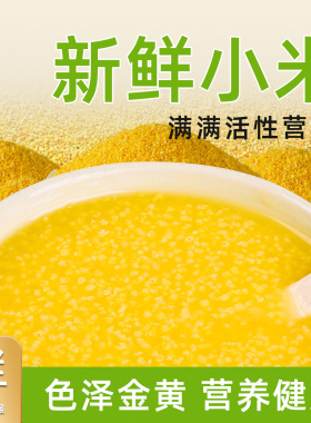 当季新米朝阳黄小米杂粮五谷胃养小米粥小黄米东北香糯粘稠5斤