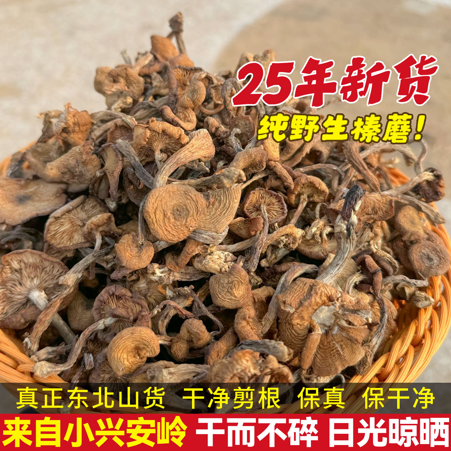 东北黑龙江干货野生优质大榛蘑食用菌纯天然绿色食品小鸡炖蘑菇