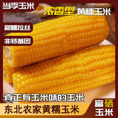 东北玉米甜糯香黏粘富硒玉米