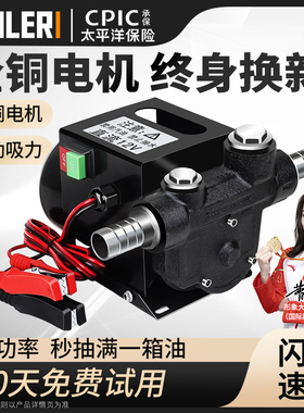 渝乐电动抽油泵12V24V220V伏自吸泵正反转直流加油泵柴油抽油机器