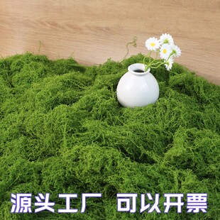 仿真苔藓草皮假青苔丝状仿生绿植盆栽人造景微景观花盆表面覆盖物