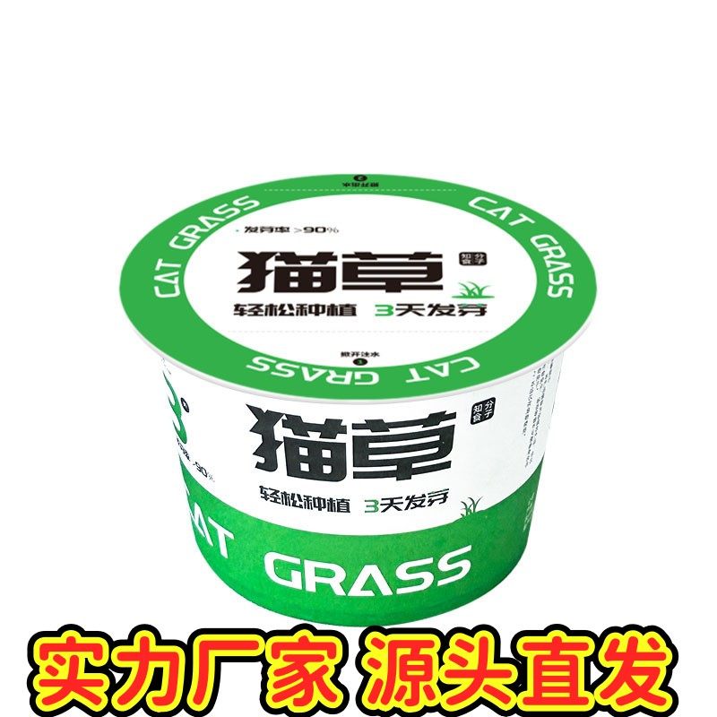 懒人泡面猫草盆栽猫草种子无土水培天然种植化毛磨牙洁齿猫咪ZJ34