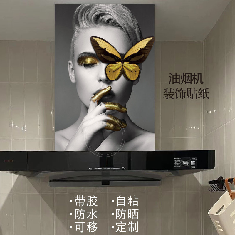 现代美女油烟机改造遮挡神器自粘