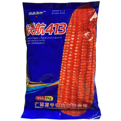 联航413杂交玉米种子玉米品种抗倒伏抗病白轴黄包谷种玉米