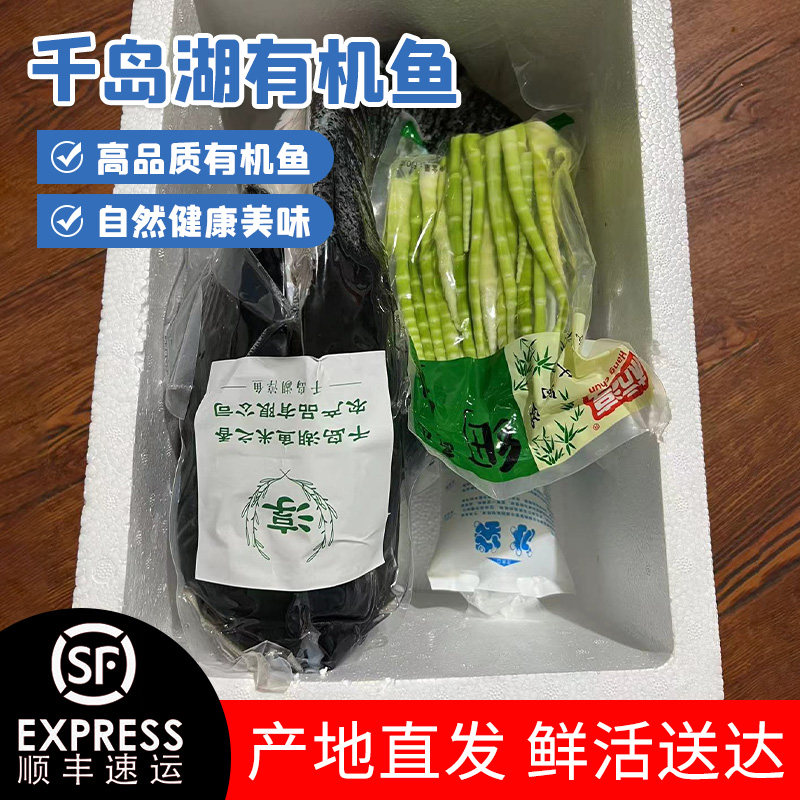 官方认证千岛湖正宗淳牌有机活鱼胖头鱼现宰整条快递鲢鱼鳙鱼