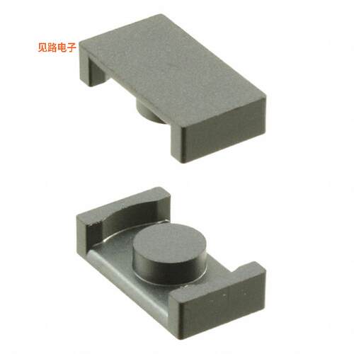 B65525J0000R049 -[全新FERRITE CORE ER 800NH N49 2PCS]
