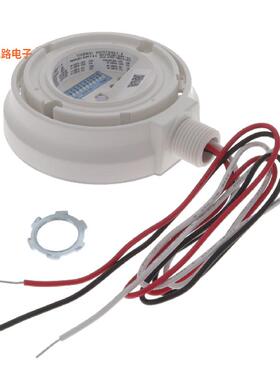 WSPEMUNV -[全新SENSOR WITH DAYLIGHTING END MNT]