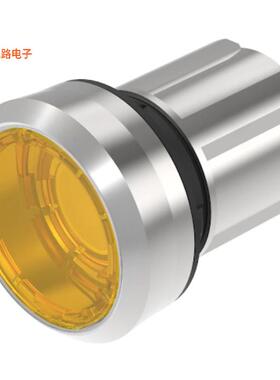 45-2231.21G0.000 -[全新CONFIG SW BODY PUSHBUTTON ILLUM]