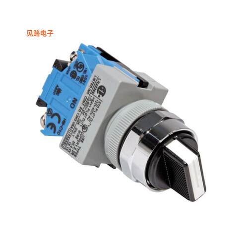 ASW211 -[全新SWITCH SELECT 2POS DPST 10A 110V]