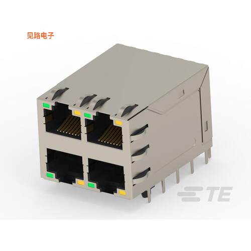2496726-1 -[全新RJ45 W/MAGNET 2X2 5G LIGHT PIPE]