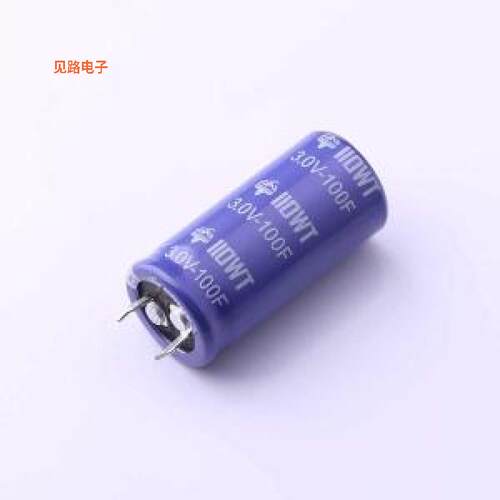 WTR3V0100F0Z-2245S -[原装插件,22x45mm
