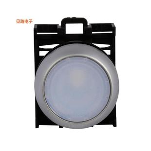 SIL WHT FLSH BZL MOM 全新ILL M22