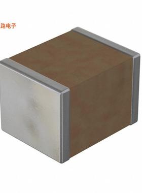 3333N102K502NW -原装[CAPACITOR1000 pF