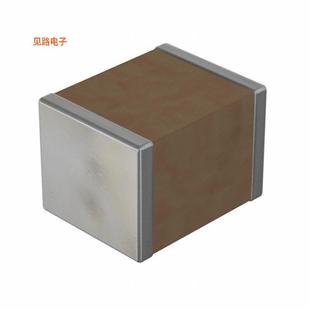 CAPACITOR10000 3333B103M402PW 原装