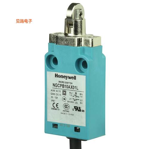 NGCPB10AX01L -[全新SWITCH SNAP ACTION DPST 6A 120V]