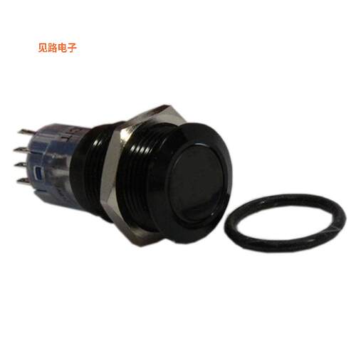 CH2NABS -[全新SWITCH PB DPDT 1A 125V]