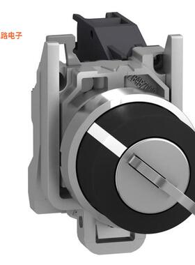 XB4BG41 -[全新SWITCH KEYLOCK 2POS SPST 6A 120V]