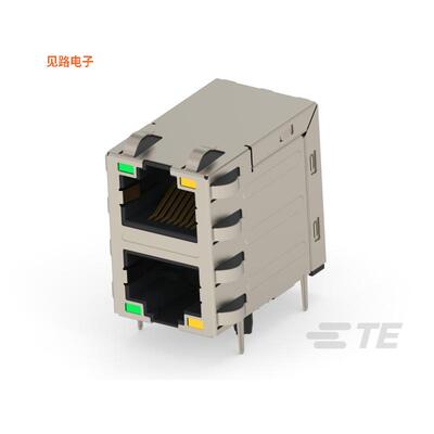 2496615-1 -[全新RJ45 W/MAGNET 2X1 1G  PLATING]