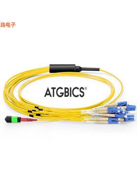 BOC-24MTPF-12LCOS2-1M -[全新FIBER OPTIC CBL TO LC SGL 1M]