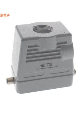 T1340100125-000 -原装[H10B-TGH-RO-M25防护罩