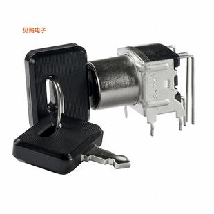 2POS KEYLK DPDT 0.4VA SK22AG30 28V 全新SWITCH