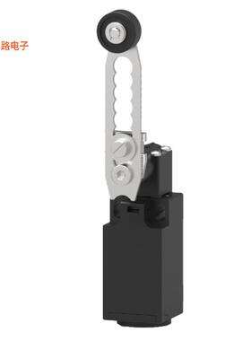 TLSTNS0214PB -原装[LS T SNAP STP ADJ.ROLLER LEVER 4DPST-NC