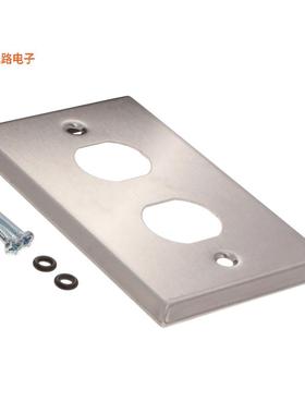 N206-FP02-IND -[全新BULKHEAD WALL PLATE, 2 CUTOUTS,]