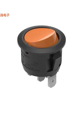 471NS04268640 -[全新SWITCH ROCKER SPST 10A 250V]