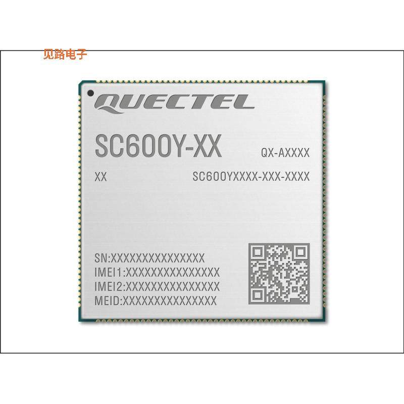 SC600YNAPA-E53-TA0AA -原装[RF TXRX MOD BT NAV WIFISMD未验证