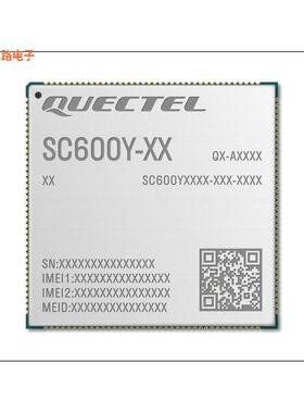 SC600YNAPA-E53-TA0AA -原装[RF TXRX MOD BT NAV WIFISMD未验证