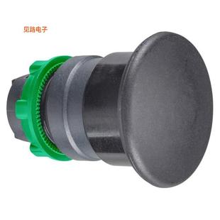 BODY MUSH ZB5AC2TQ ILLUM NON 全新CONFIG