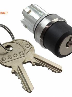 45-290Z.2000.113 -[全新CONFIG SW BODY KEYLOCK NON-ILLUM]