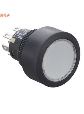 YB225CWCKG01-N-JB -[全新SWITCH PUSHBUTTON DPDT 0.4VA 28V]