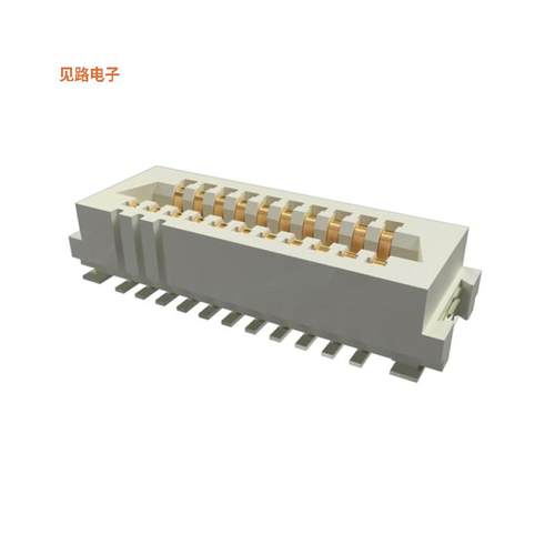 10162581-3134121LF -[全新CONAN LITE RECEPTACLE, 21 POSITI]