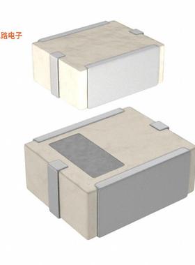 DEA252450BT-2024C5 -[全新RF FILTER BAND PASS 2.45GHZ 1008]