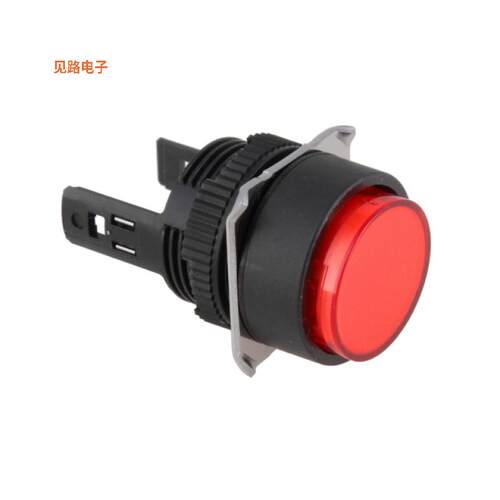 A165-TRA-2 -[全新SWITCH PUSHBUTTON DPDT 5A 125V]
