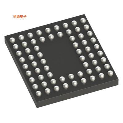 STM32F205RGY6TR -原装[IC MCU 32BIT 1MB FLASH 66WLCSP未验证
