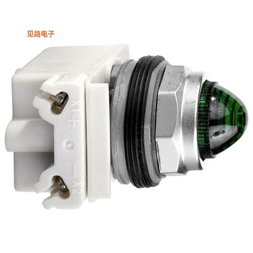 9001KP38LGG9 -[全新PILOT LIGHT 120V 30MM TYPE K +OP