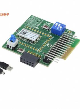 BM-78-PICTAIL -[全新DEVELOPMENT BOARD BM78 PICTAIL+]