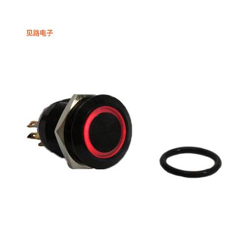 AH1NBBR24 -[全新SWITCH PB DPST-NO/NC 1A 125V]