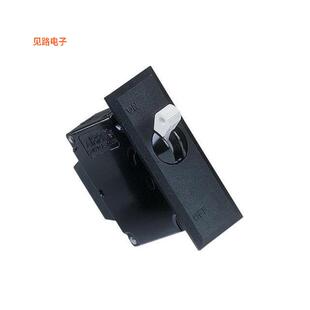 IEG66-1-62-12.0-A-01-V -[全新CIR BRKR MAG-HYDR LEVER 12A]
