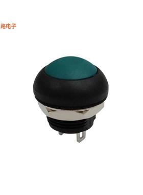 SW-PB11-1CSG-10 -[全新IP67 ANTI-VANDAL PUSHBUTTON SWIT]