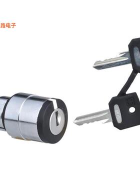 ZB4BG09 -[全新CONFIG SW BODY SELECT NON-ILLUM]