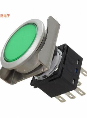 LBW6ML-M1T64G -原装[LBW FLUSH ILLD PB MOME. GREEN前面板安装